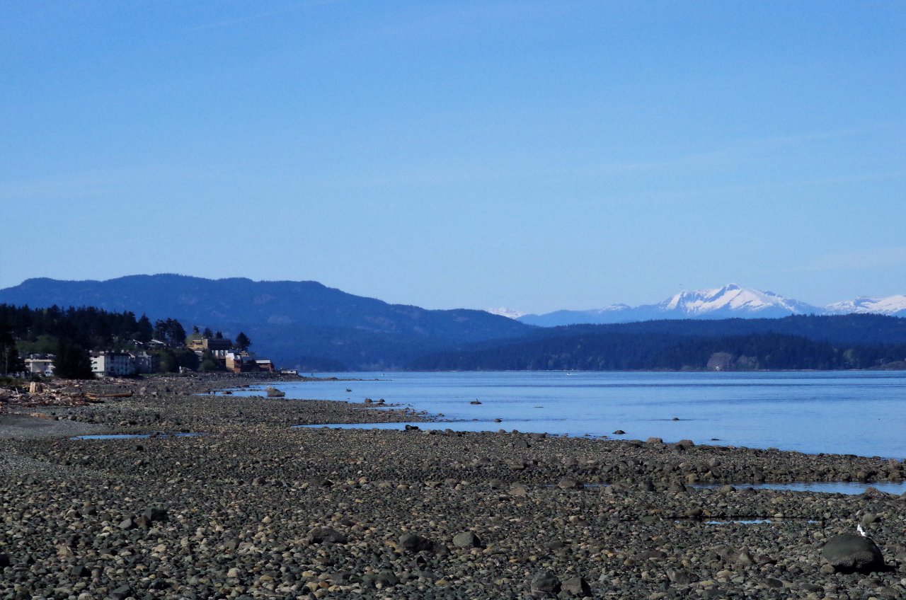 Your Leadership Team Campbell River Medical Staff Engagement
